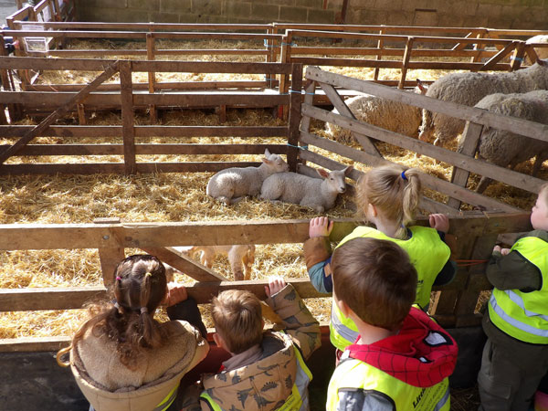 Little Lancing Day Nursery visiting Coombes Farm