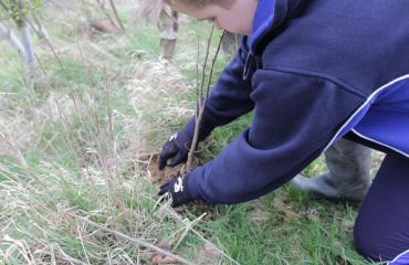 Pupils at work in the Lancing College Farm 
