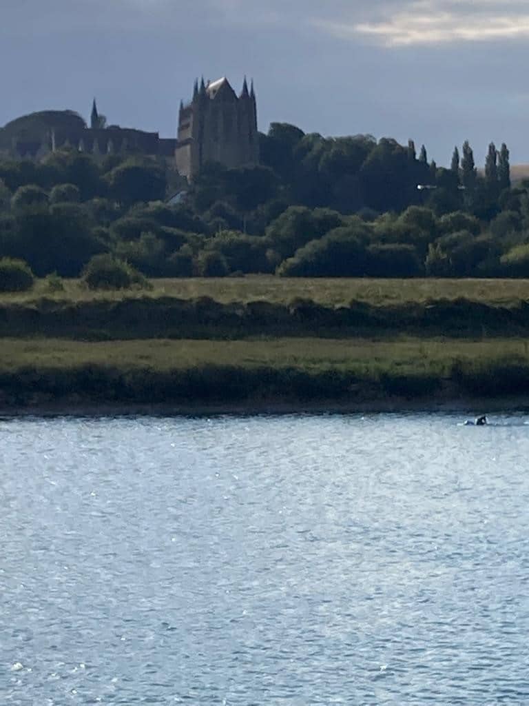 Swim past the College