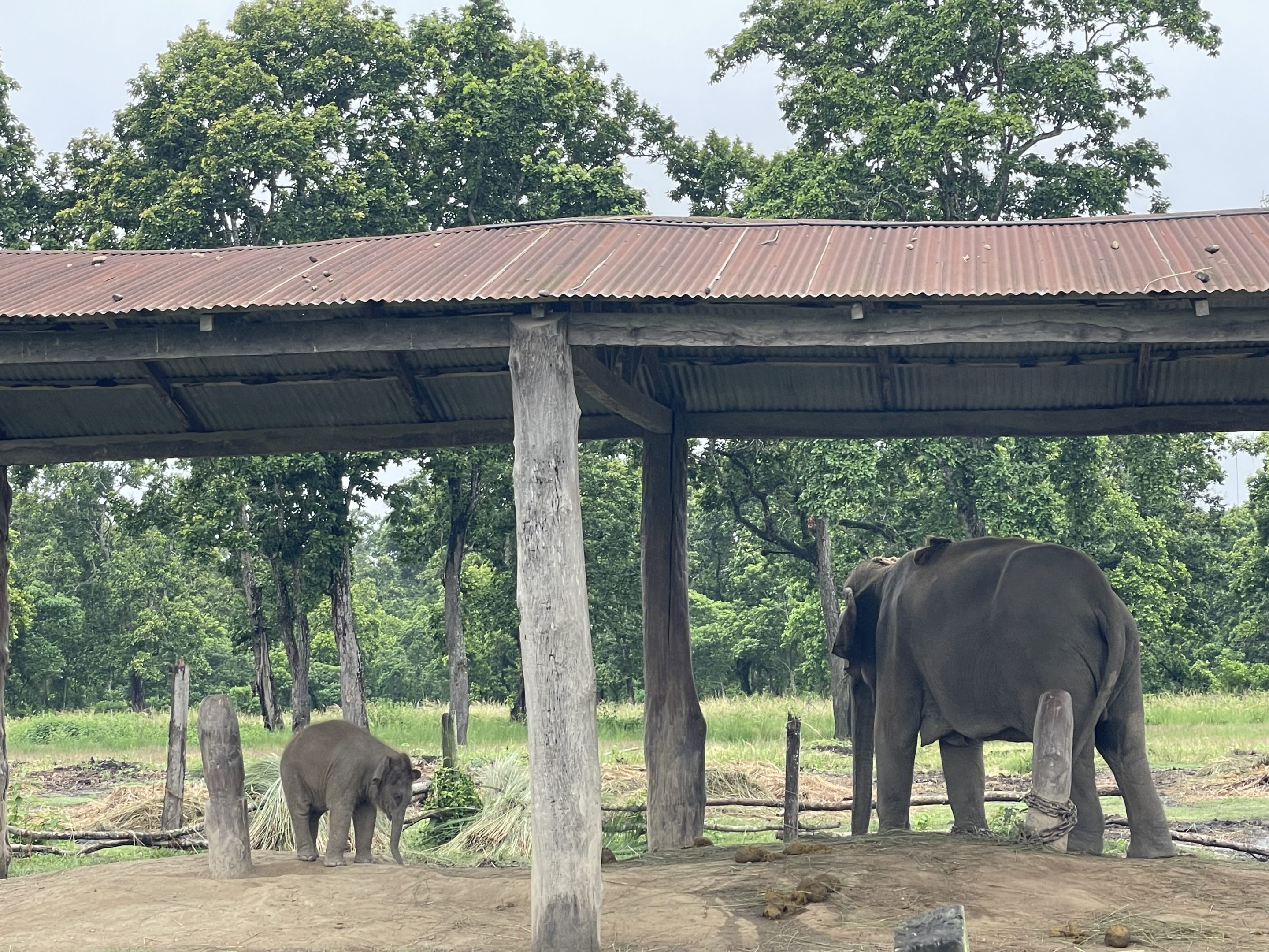 The 2026 Lancing College Travel Awards
