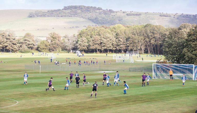 Lancing Sports pitches